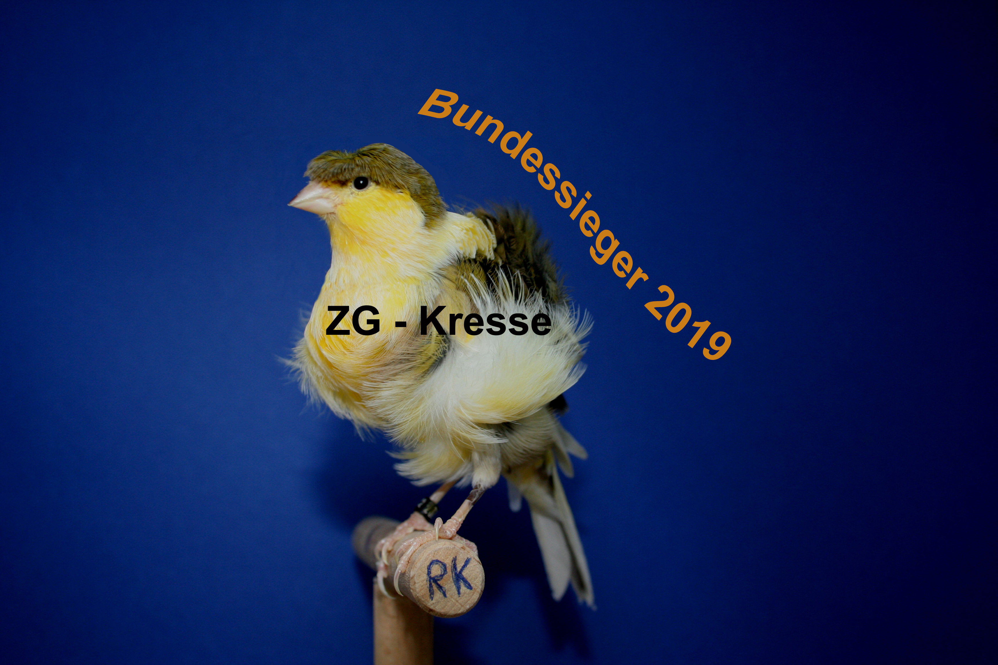 Bundessieger 2019