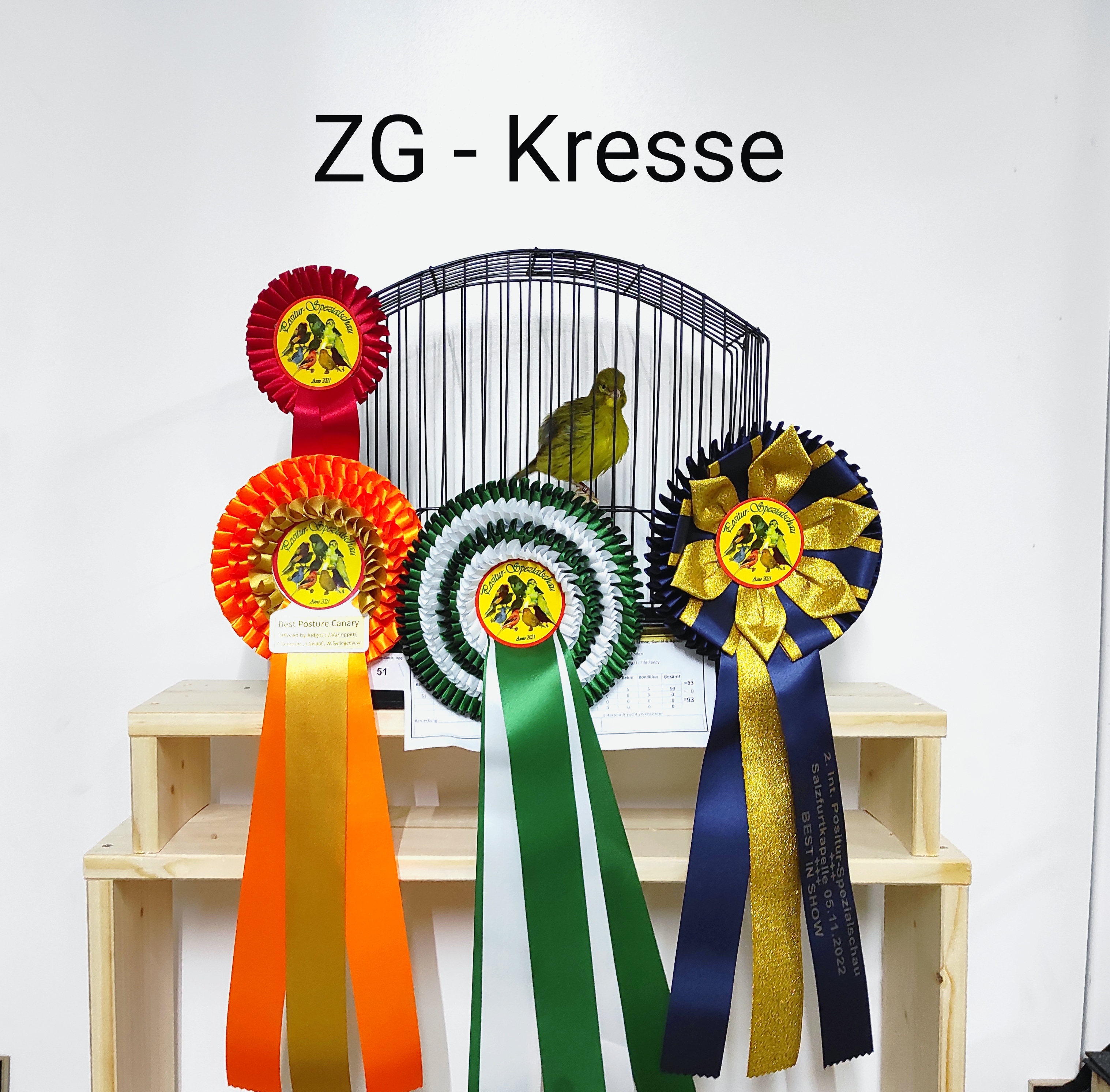 Best in Show - 2. Positur Spezialschau Bitterfeld 2022